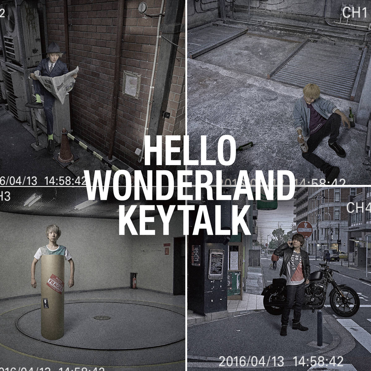 HELLO WONDERLAND