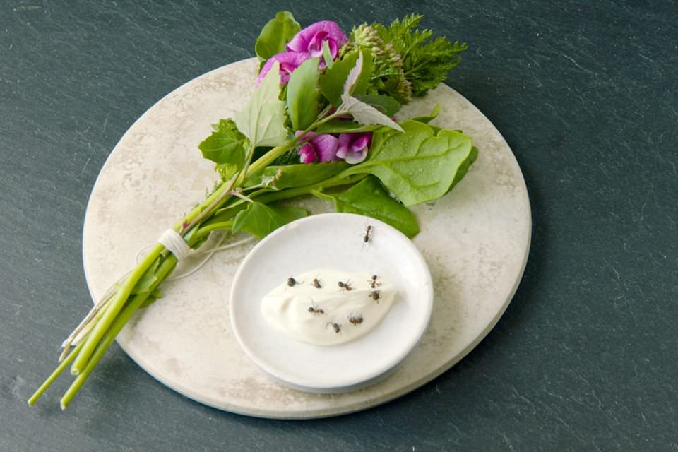  noma ノーマ、世界を変える料理