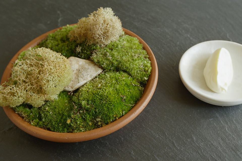  noma ノーマ、世界を変える料理