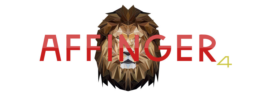 AFFINGER4 pro