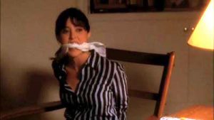 NCIS 〜ネイビー犯罪捜査班 シーズン1