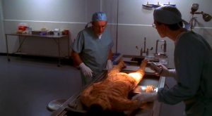 NCIS 〜ネイビー犯罪捜査班 シーズン2