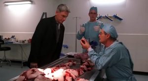 NCIS 〜ネイビー犯罪捜査班 シーズン2